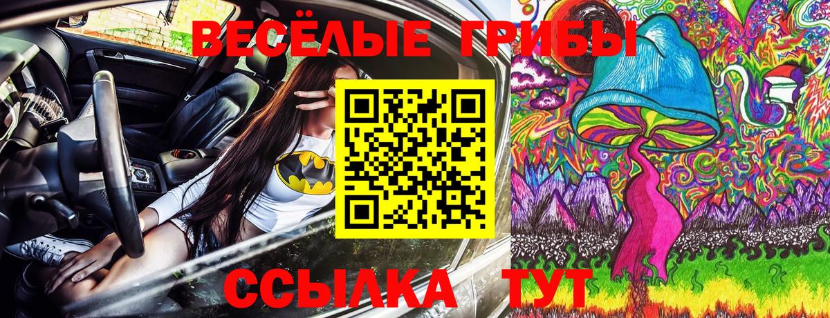 Галлюциногенные грибы Cubensis  Вход с VPN  Донецк 