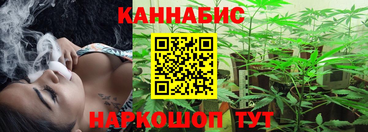 Донецк  Бошки Шишки план  Каннабис Bruce Banner  Вход с VPN  Бошки марихуана тримм 